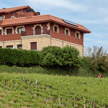 Bodega Gaintza